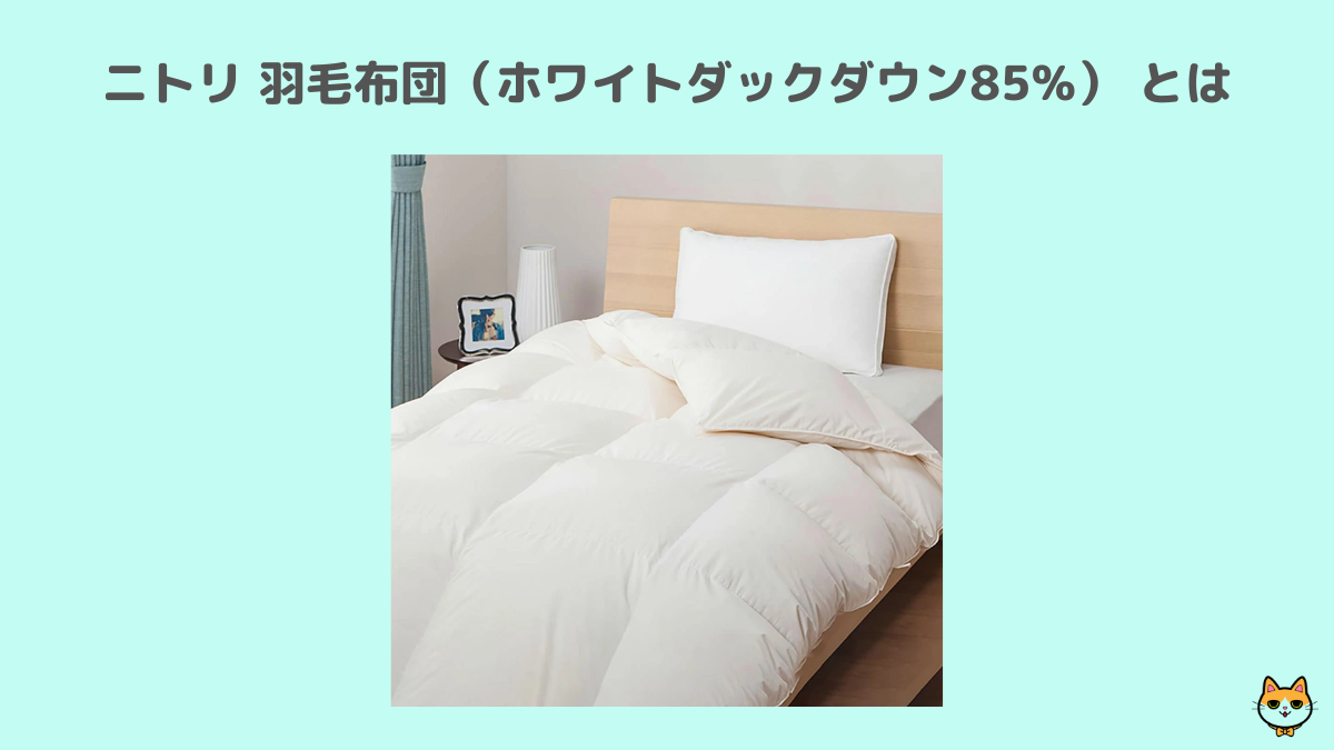 ニトリ 羽毛布団（ホワイトダックダウン85%） とは